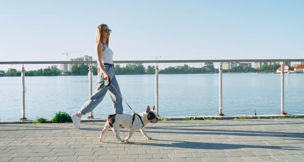 Young woman walking with french bulldog near lake